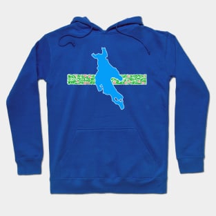 Newfound Floridic ll Hoodie